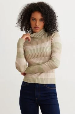 Dynamite Striped Turtleneck Sweater In Green Tan Stripe