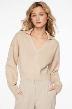 Dynamite Cropped Polo Sweater In New Tan Beige