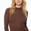Dynamite Long Sleeve Mock Neckline Sweater In French Roast Brown