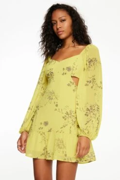 Dynamite Long Sleeve Flare Mini Dress In Yellow Dainty Floral