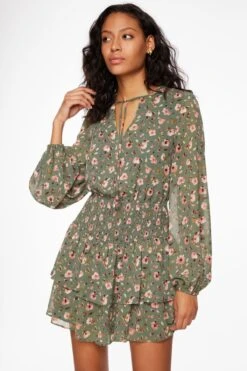 Dynamite Long Sleeve Tiered Mini Dress In Green & Blush Floral