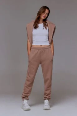 Dynamite Fleece Jogger Pants In Deep Taupe