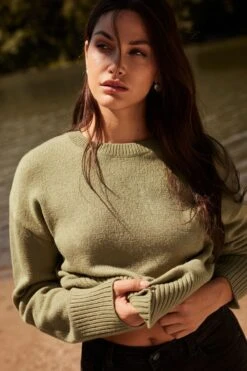 Dynamite Long Sleeve Crew Neck Sweater In Covert Green