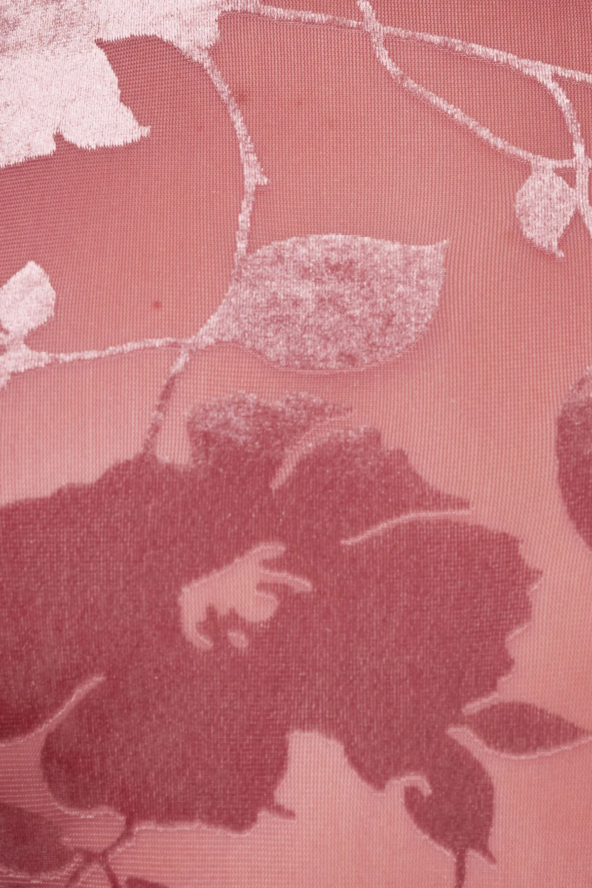 Dynamite Kyla Sheer Bodysuit In Pink Burnout - Image 4