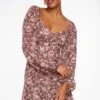 Dynamite Long Sleeve Flare Mini Dress In Taupe & Rose Floral