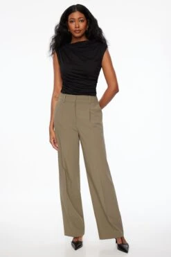 Dynamite Sofia Pleated Straight Leg Pants In Northwood Taupe