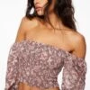Dynamite Lisbet Long Sleeve Smocked Top In Taupe & Rose Floral
