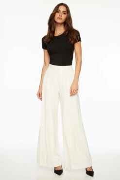 Dynamite Pleated Wide Leg Pants In Sea Salt Off-White