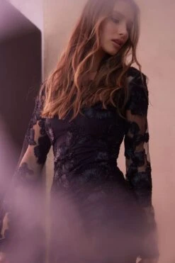 Dynamite Sheer Floral Appliqué Mini Dress In Jet Black