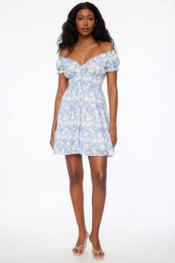 Dynamite Delphine Smocked Mini Dress In Blue & White Floral