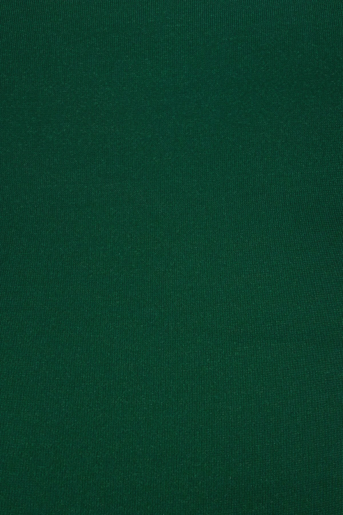 Dynamite Drea Sculpt Crew Neck Bodysuit In Jewel Green - Image 5