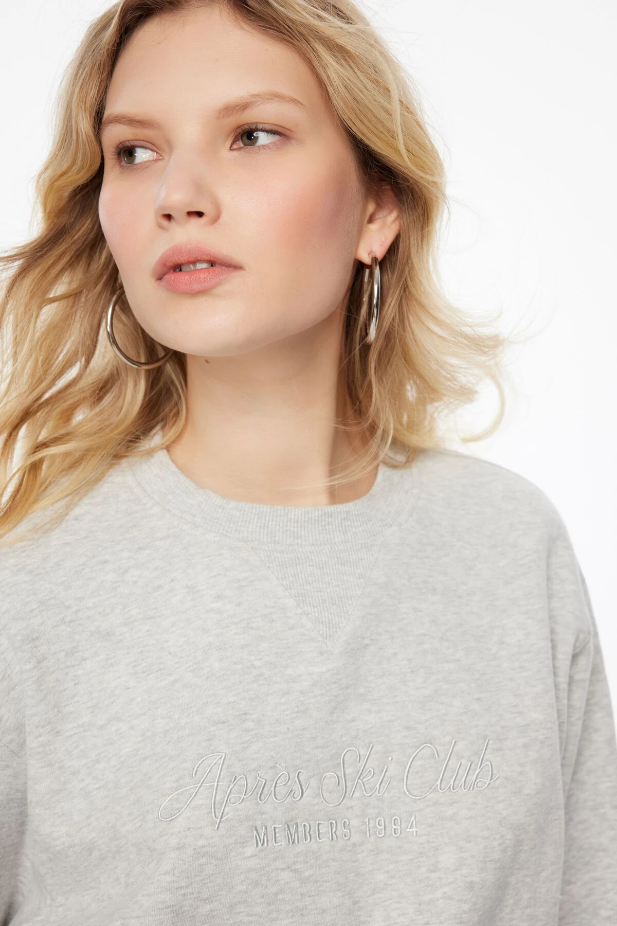 Dynamite Classic Embroidered Sweatshirt In Fall Grey & Apres Ski Club - Image 3