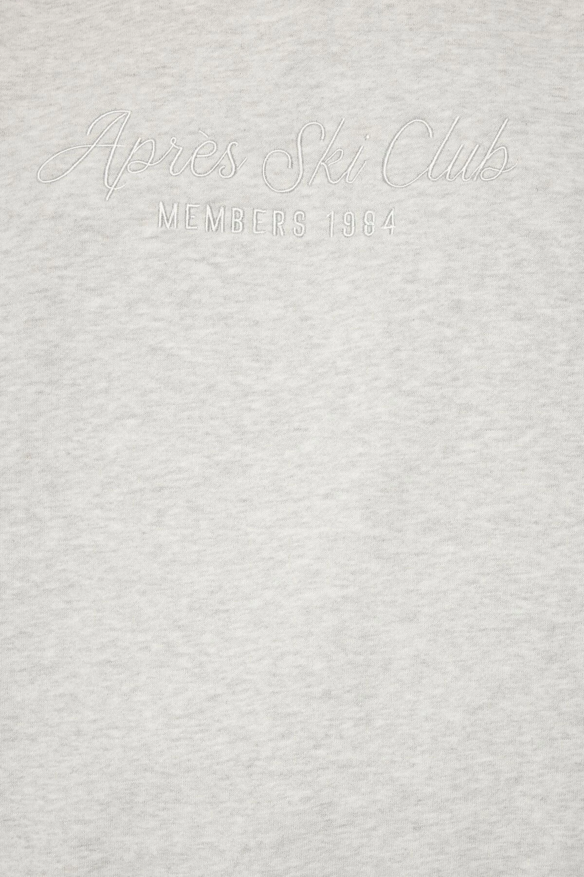 Dynamite Classic Embroidered Sweatshirt In Fall Grey & Apres Ski Club - Image 6