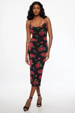Dynamite Floral Mesh Slip Maxi Dress In Red Roses
