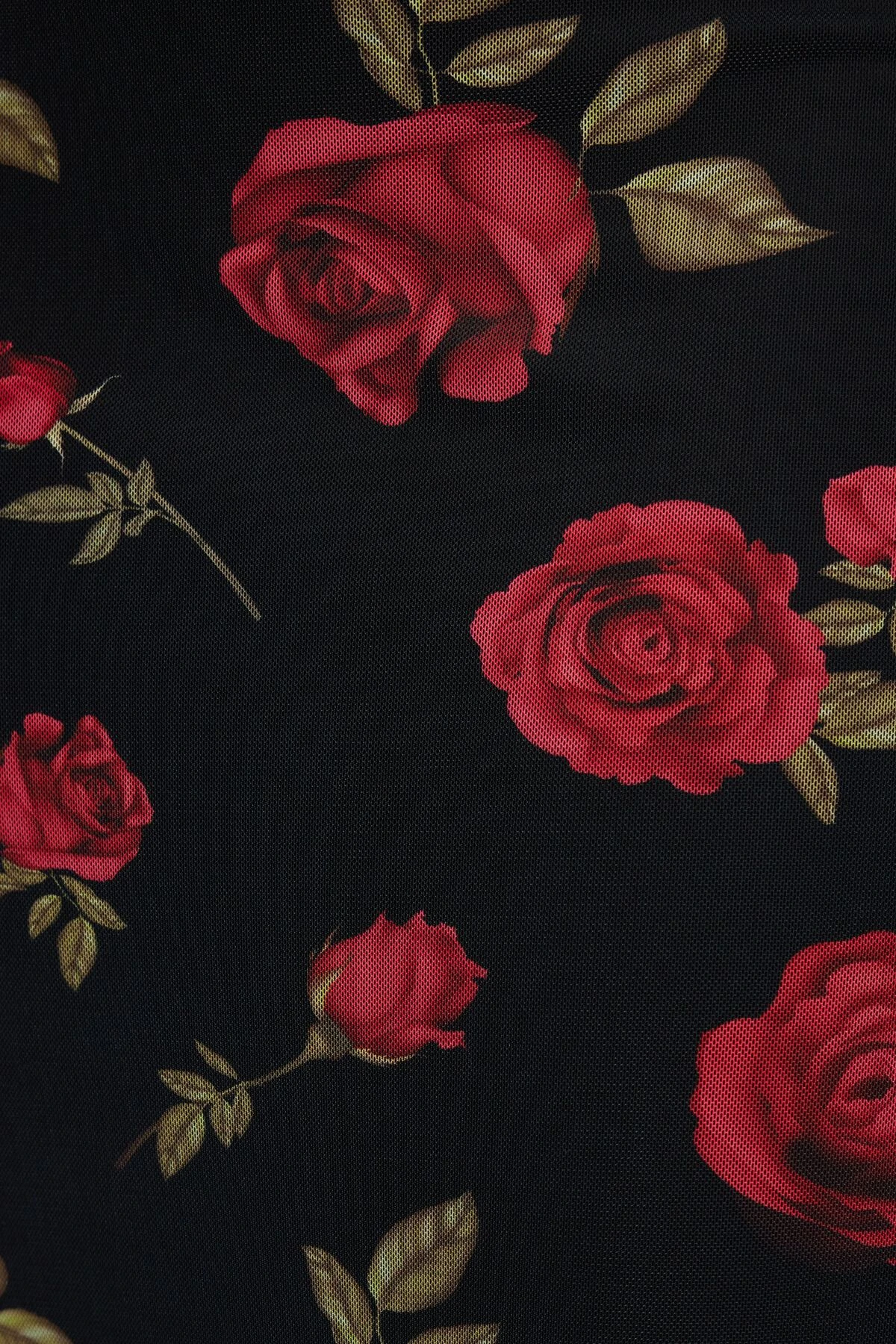 Dynamite Floral Mesh Slip Maxi Dress In Red Roses - Image 4